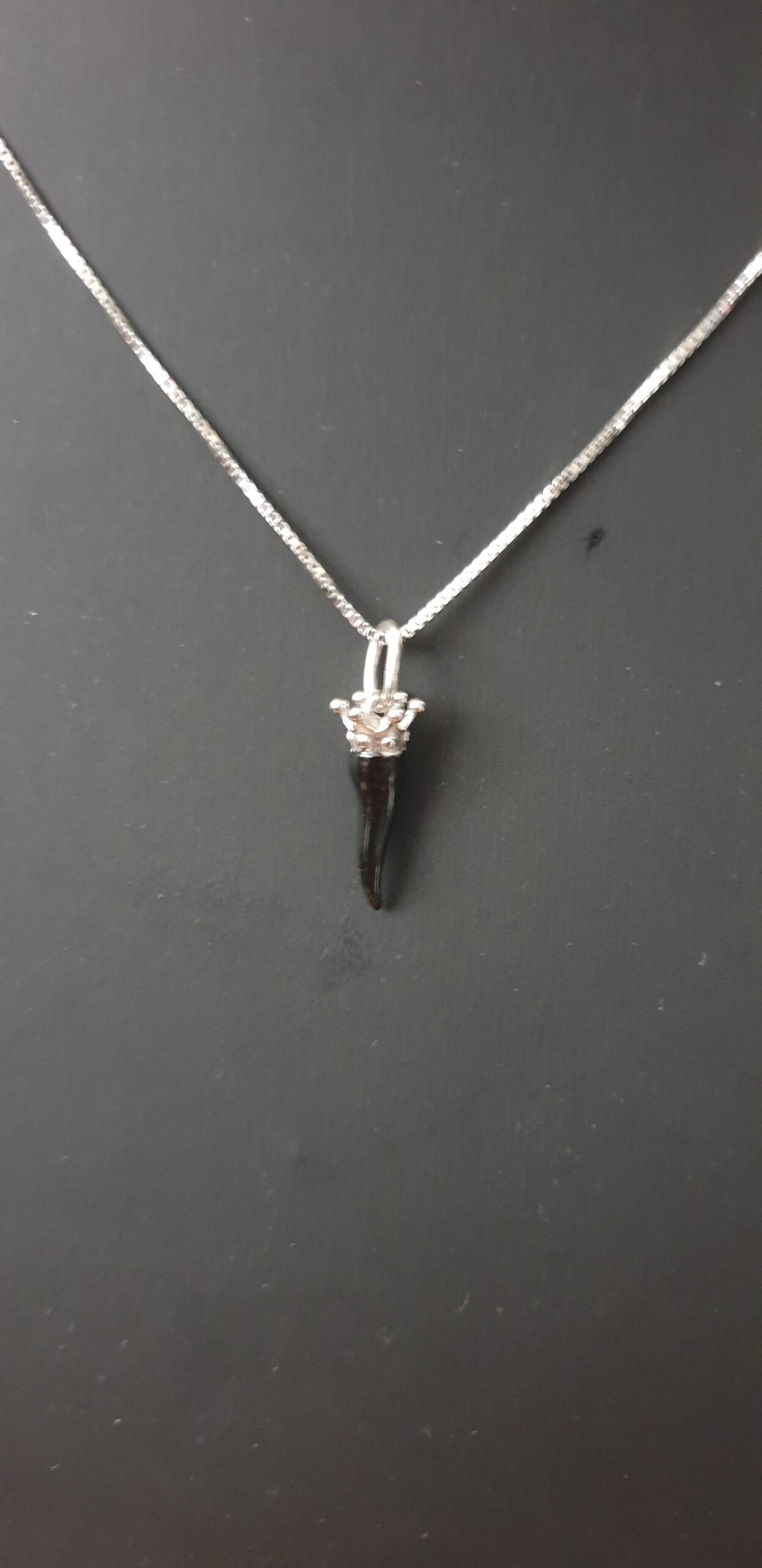 Collana argento con Ciondolo Cornetto "Porta Fortuna" - CO.CO.MI Amanthia NERO Argento bianco