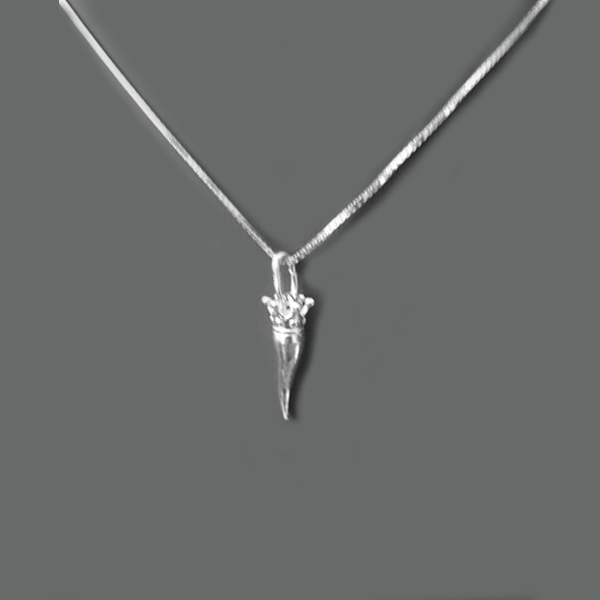 Collana argento con Ciondolo Cornetto "Porta Fortuna" - CO.CO.MI Amanthia ARGENTO Argento bianco