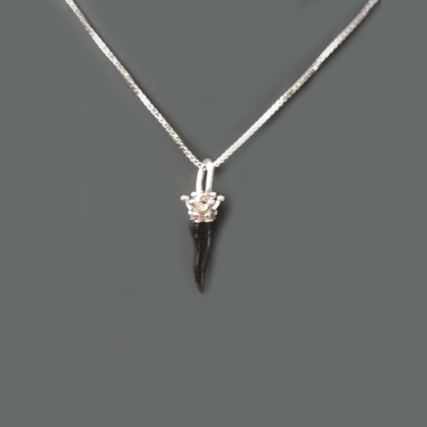 Collana argento con Ciondolo Cornetto "Porta Fortuna" - CO.CO.MI Amanthia